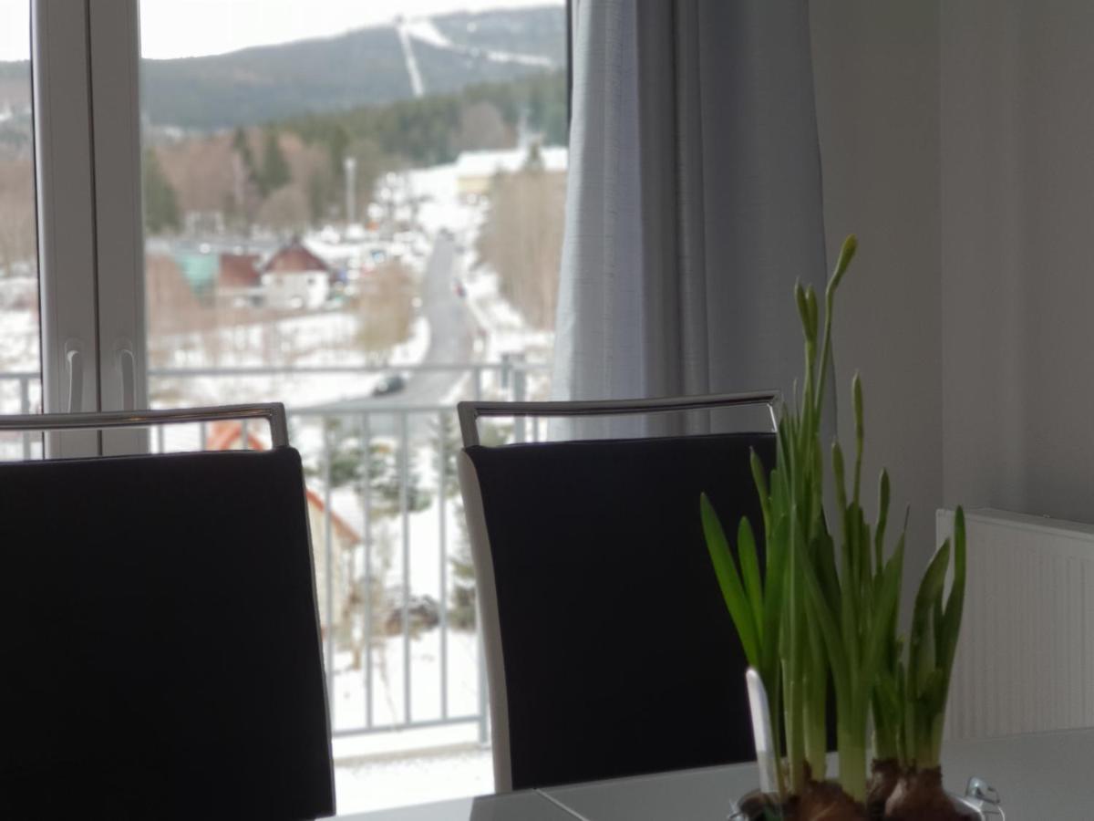 Vera Apartment Świeradów-Zdrój Zakopiańska 22 C m10 Exterior foto